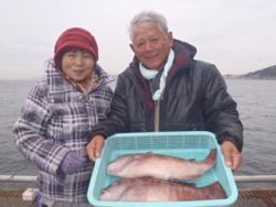 須磨海づり公園で立派なコブダイ