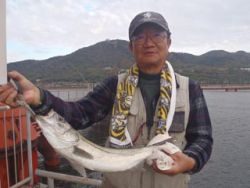 ウキ流しでハネ45cm　須磨海づり公園