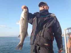 神戸市立須磨海づり公園 投稿