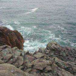 今年初の日本海遠征で好釣果…。