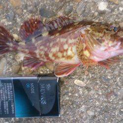 ライトワインド