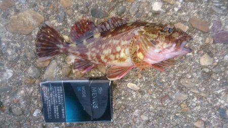 ライトワインド