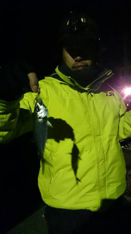 今年の始まりは、初めてのアジング!!