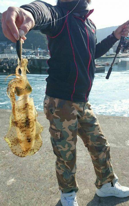 今年初のエギング