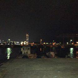 メバルを探しに…(*_*)