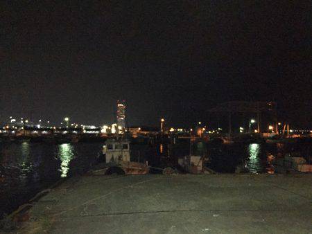 メバルを探しに…(*_*)