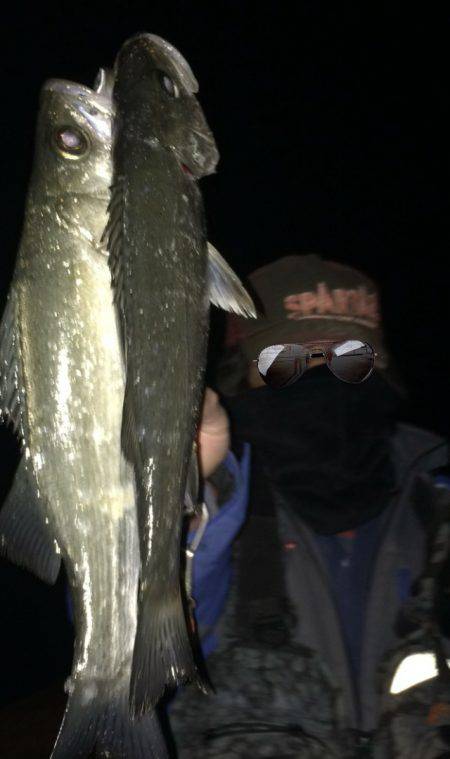 初釣りがチーバスくんでした!