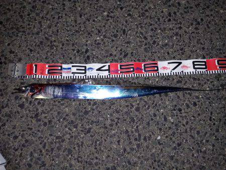 初釣り、釣れるかな？