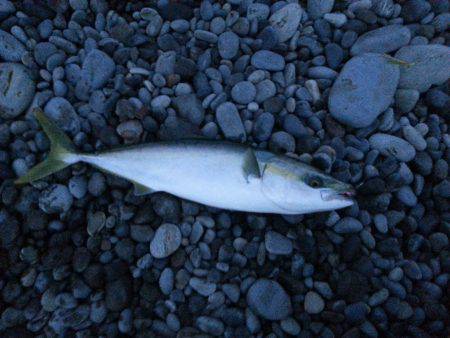 1年半越し夢叶った！