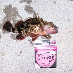 なんとか釣れました♪