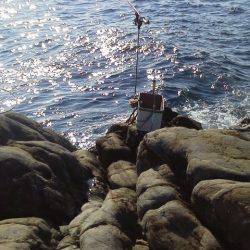 グレ2匹・・・・・イガミ1匹・・・・グレ釣りは難しい・・・