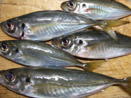 豆アジの中に！