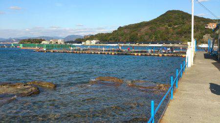 初釣りは堅田の釣り堀でカンパチ狙い
