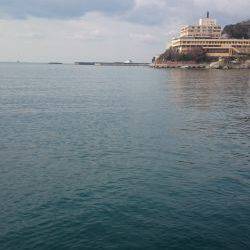 下げ潮のタイミングでドーンと！