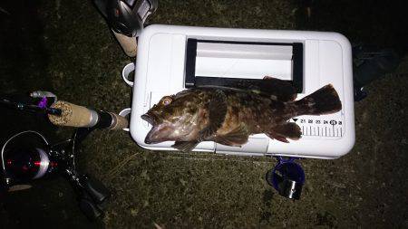 ガシリング記録更新