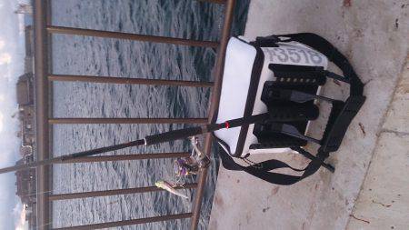 底冷えする寒さの中朝まずめに2匹ゲット