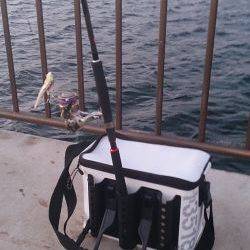 底冷えする寒さの中朝まずめに2匹ゲット