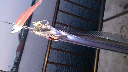 春木ベランダでワインドで太刀魚2匹ゲット