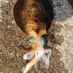 暖かいけど渋い。