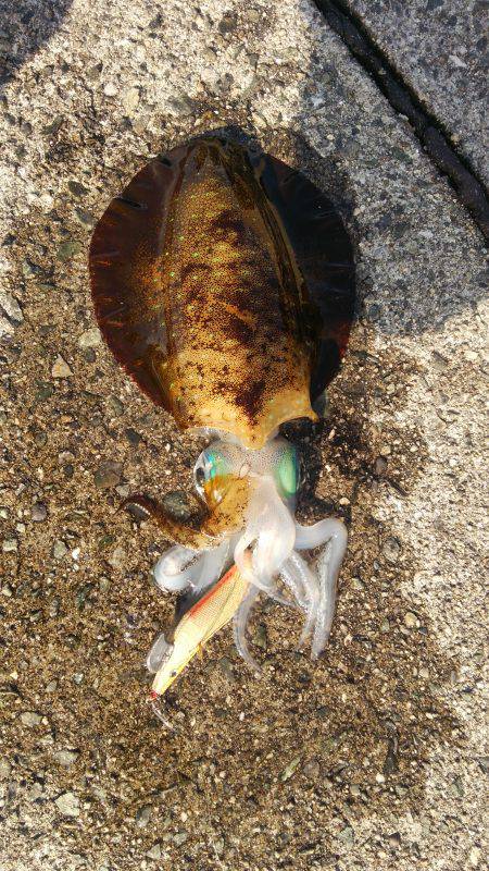 暖かいけど渋い。