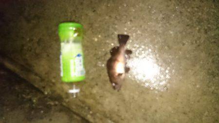 寒波には負けません