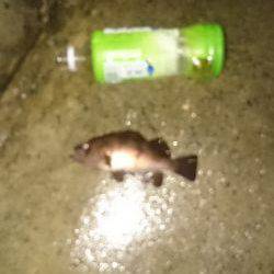 寒波には負けません