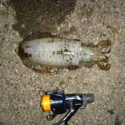 残念一杯だけでした。