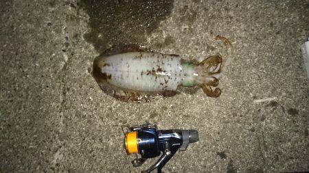 残念一杯だけでした。