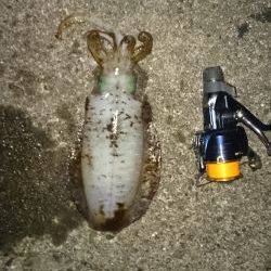 残念一杯だけでした。