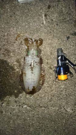 残念一杯だけでした。