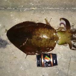 寒波がくるまえに！