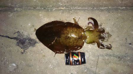 寒波がくるまえに！