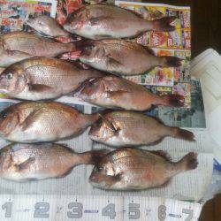 マリーナシティ釣り堀