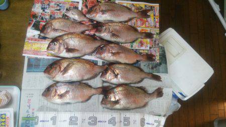 マリーナシティ釣り堀