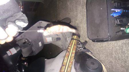 初詣のあとは、やっぱり釣りでしょ