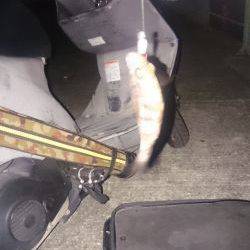 初詣のあとは、やっぱり釣りでしょ