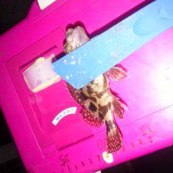 寒さが少しましです