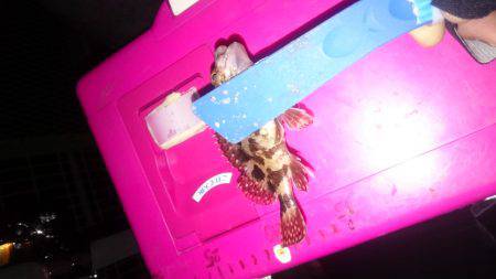 寒さが少しましです