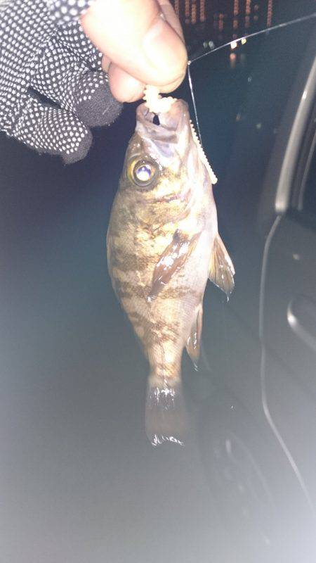 当たりはあるがなかなか釣れない