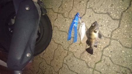 三連休ですはねー