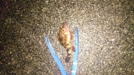 爆風 雨 に撃沈