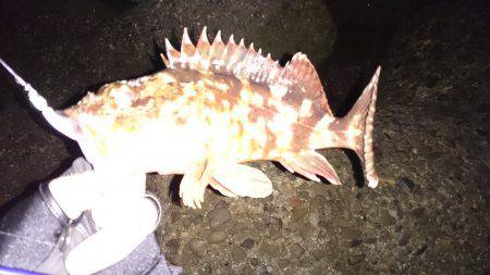 風もなく、楽しかった