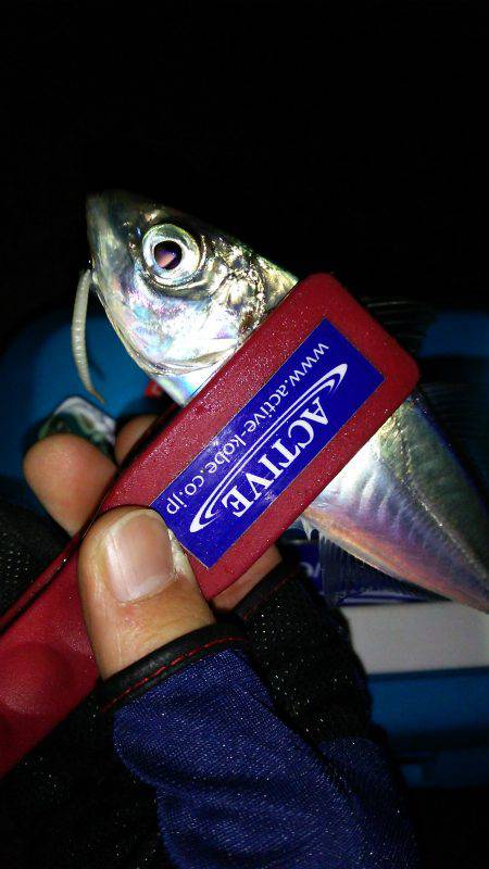 今年もよろしくお願い致します♪