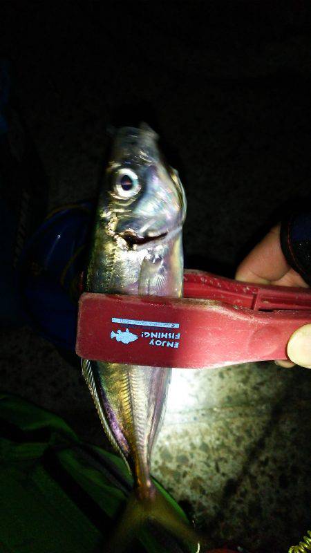 １バイト１ヒット