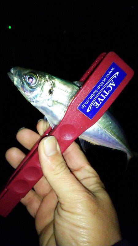 悶絶極寒アジング