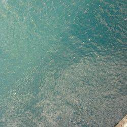 10メートルほどの立ち位置の違いで