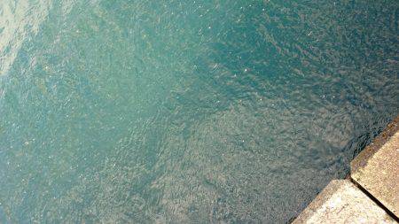 10メートルほどの立ち位置の違いで