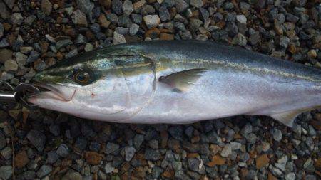 寒くなる前に！！