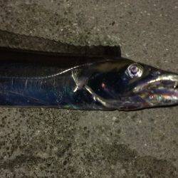 人生初ドラゴンgetです！