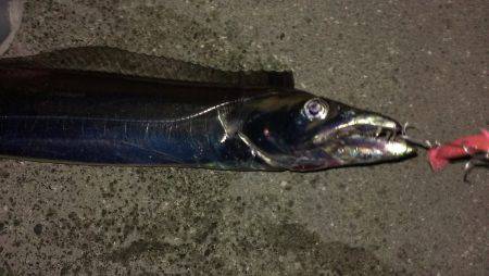 人生初ドラゴンgetです！